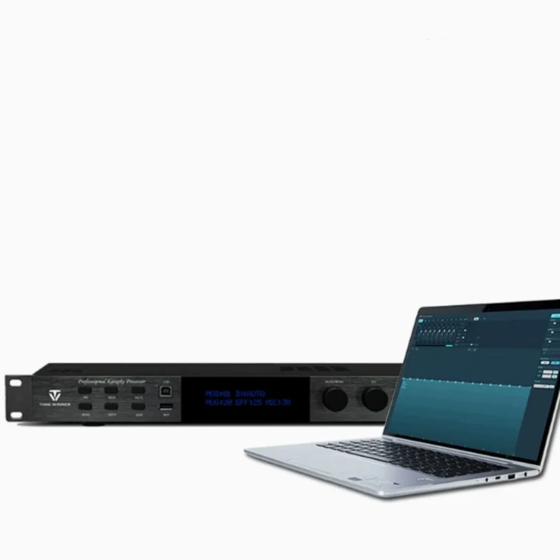 Winner AD-208PRO Reverb Boost DSP Профессиональный эффект предусилителя для караоке с защитой