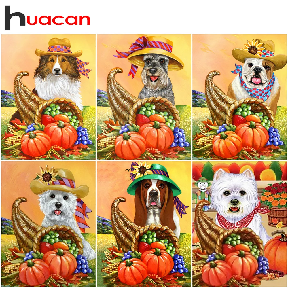 

Алмазная живопись Huacan Diy 5d, собака, животное, тыква, полная вышивка