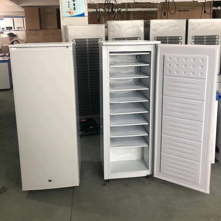 

Upright solar power dc power ice maker 24 volt ice maker BD-198