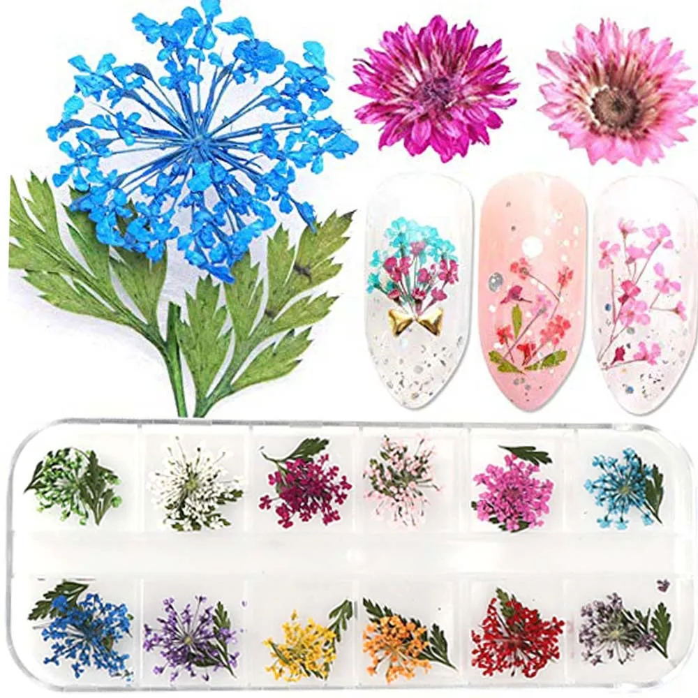 

12 Grid Boxed Nail Flowers Jewelry 6 Japanese Women's Trendy Nail Art Dried Flowers