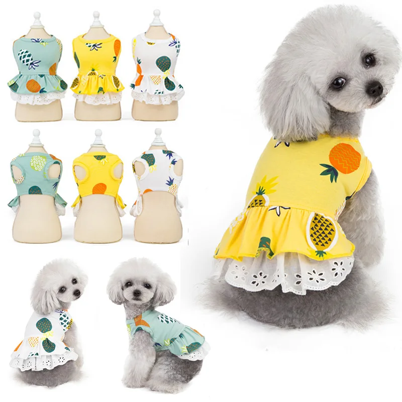 

2022 Dog Clothes Pet Dress for Dog Summer Dog Skirt Princess Corgi Teddy Pomeranian Yorkie Chihuahua Poodle Pet Clothing Costume