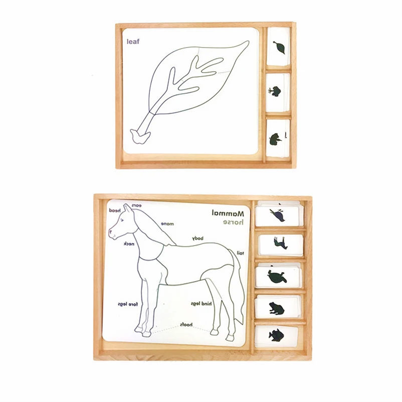 

Montessori Materials Learning Materials Animal 3 Part Cards. Toys For 3 Year Olds Teaching Aid Toys For Children D65Y