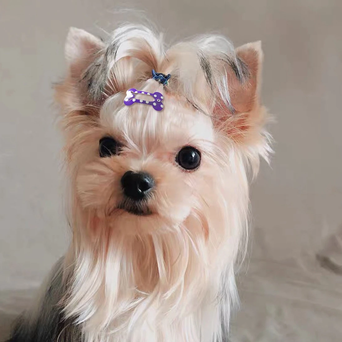 30pcs/Lot Bone Shaped Dog Hairpin Puppy Cat Hair Clips Pet Accessories Grooming Dogs Supplies for Small | Дом и сад