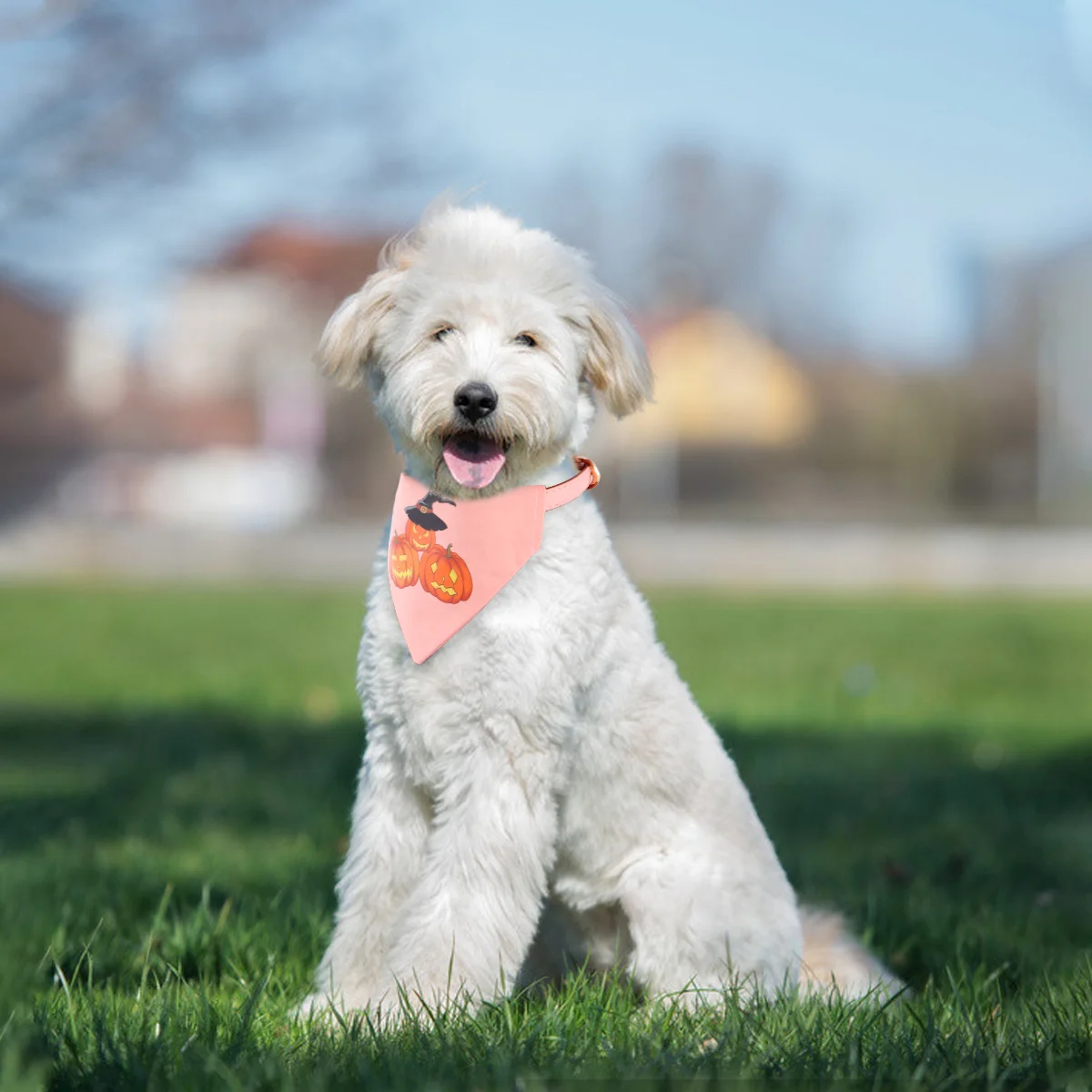 

Bibs for Dogs Cat Triangle Bib Collar Comvenient Collar Decor Pets Neckerchief