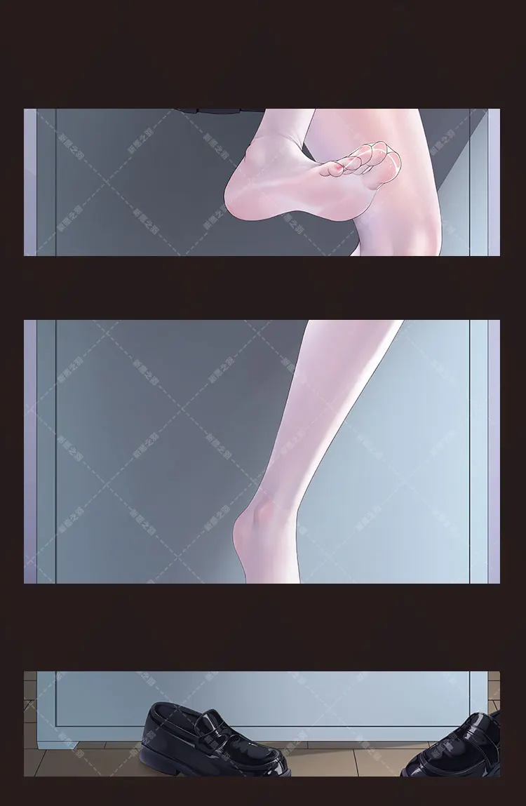 Alisa Dakimakura аниме Roshiere наволочка для всего тела сексуальная обнимающая дома отаку