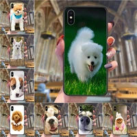 cute white puppy accessories phone cases pretty for huawei y5 y5p y6 y6p y6s y7 y7a y7p y9 lite prime pro 2018 2019