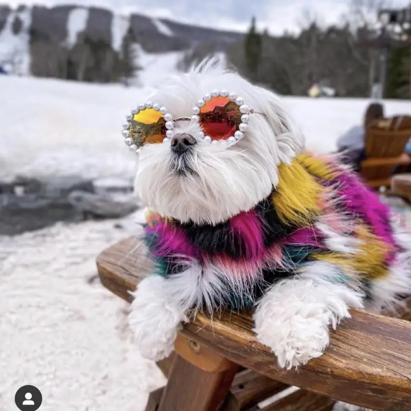 Модные солнцезащитные очки для кошек и собак отражающие летающие красивые
