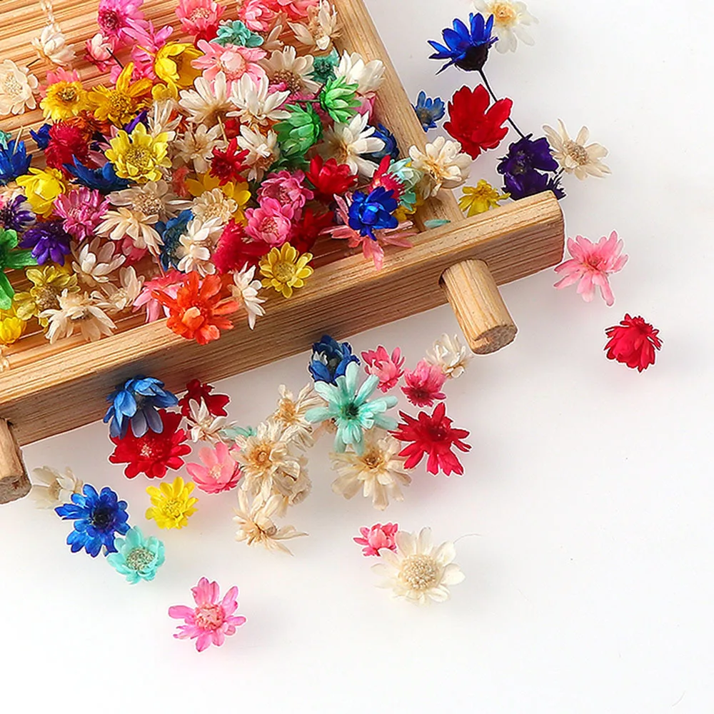 100/200pcs Real Dried Flowers For Diy Art Craft Epoxy Resin Candle Making Jewellery Home Party Decorative Dry Press Flowers