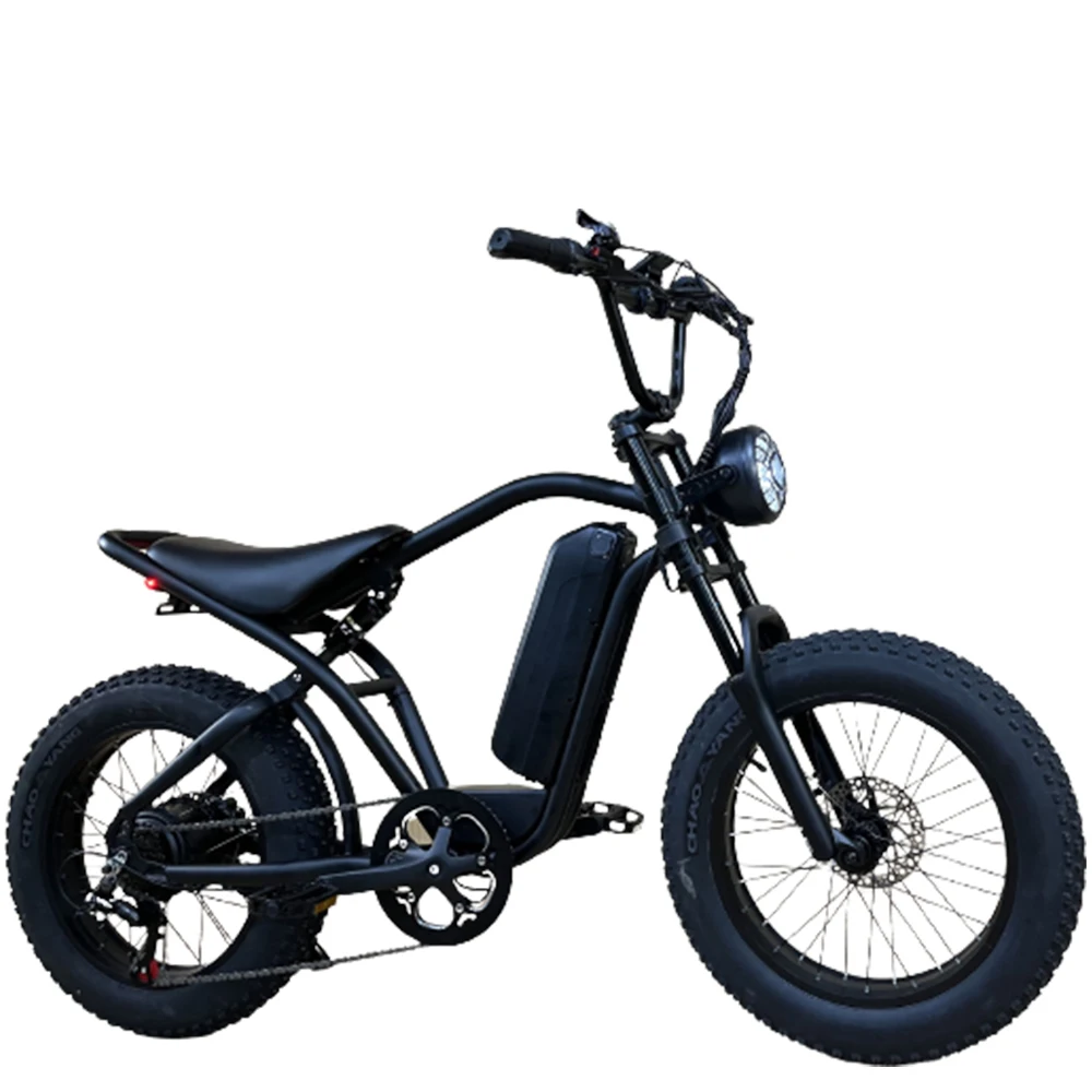 

48V 20Ah Electric Bicycle Lithium Battery Electromobile 20 Inches 1000W Comfort Portable Commuting Damping