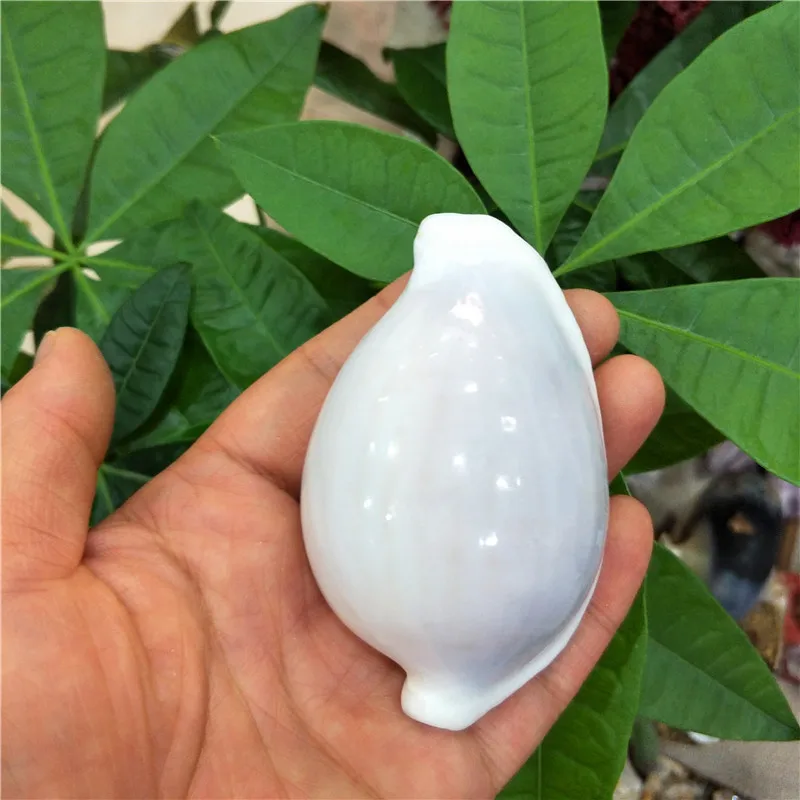 Натуральная раковина и ракушка аквариум свадебное украшение креативное для дома