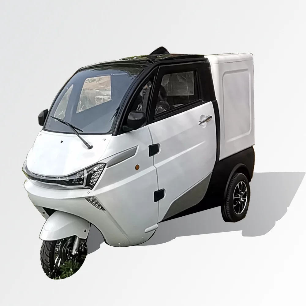 

New Arrival 3 Wheel EEC Utility Swivel Seat Dry Van Box ,Electric Tricycle Delivery Van Cargo For Food Delivery