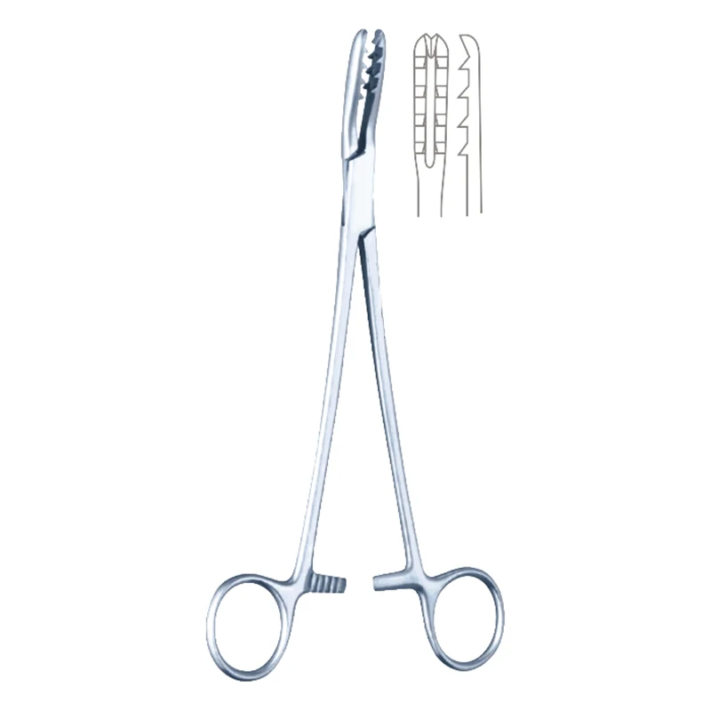

New Style General And Basic Surgical Instrument Stainless Steel Bircher-Ganske Cartilage Seizing Forceps 20cm