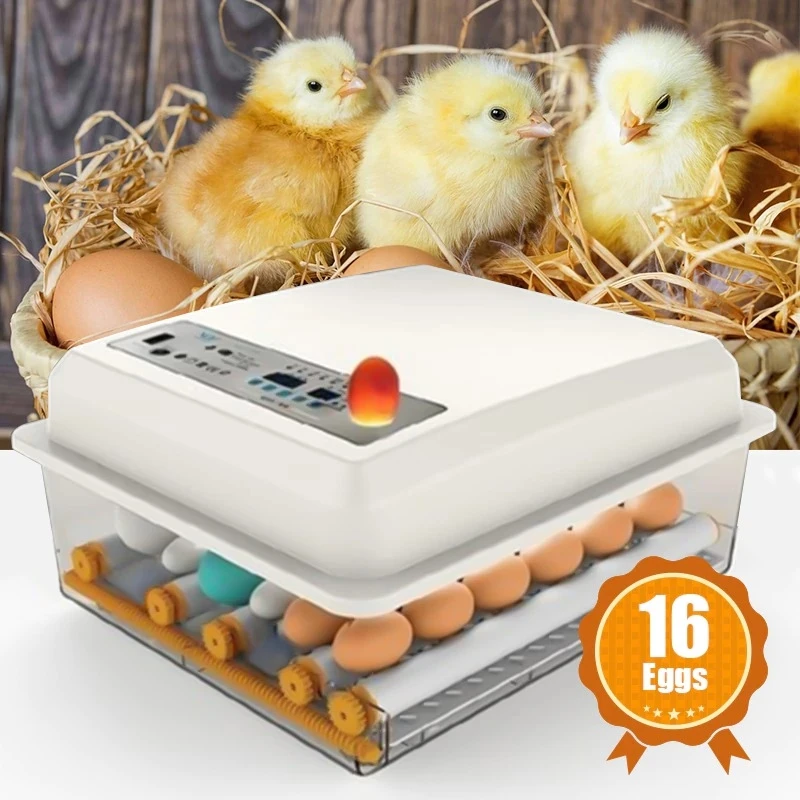 

Инкубатор для яиц, 220 В