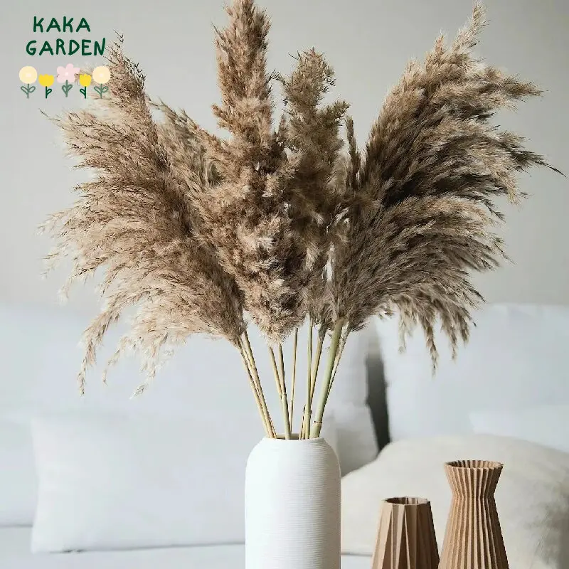 

Dried Flowers Pampas Grass Boho Wedding Decoration Supplies Natural Preserve Reed Plant Home Decor Bathroom Bouquet Accessories
