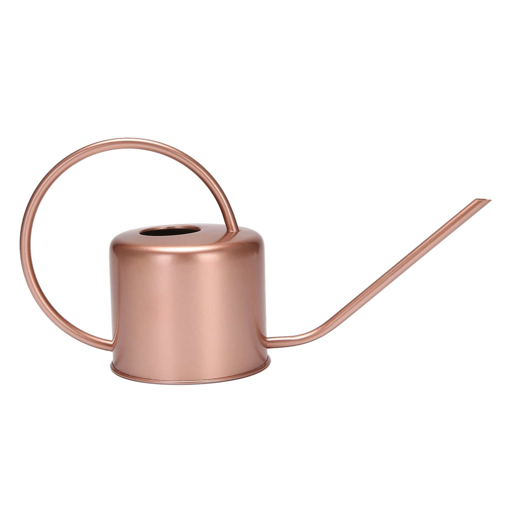 

1300Ml Watering Can Metal Garden Stainless Steel for Home Flower Water Bottle Easy Use Handle for Watering Plant Long Mouth G