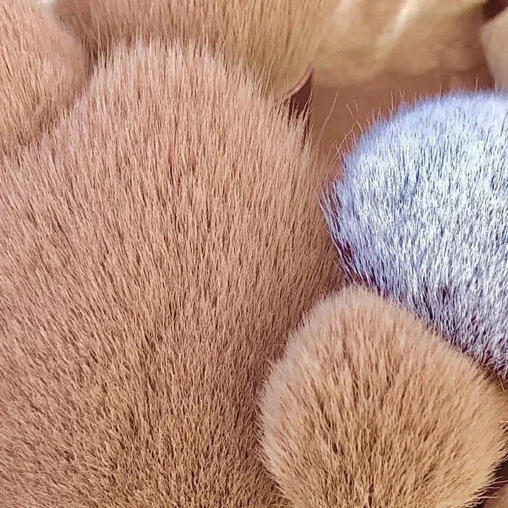 Набор кистей для макияжа