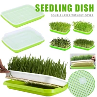 6 pcs seed germination sprouter tray soil free big capacity microgreens hydroponic tray for sprouts gardening free delivery