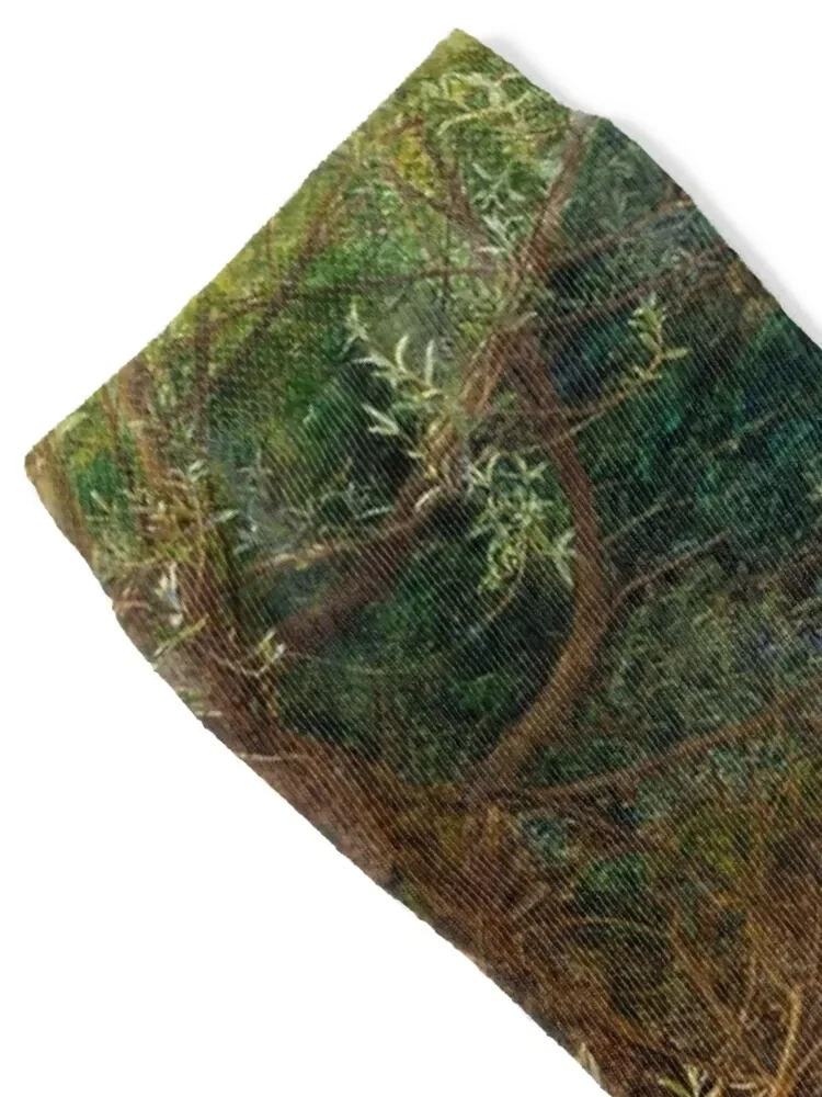 Носки Ophelia - John Everett Millais дизайнерские спортивные носки с пальцами для мужчин и