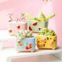 hand painted ceramic succulent flower pot container creative cute fruit shape plant desktop decoration small flower pot square
