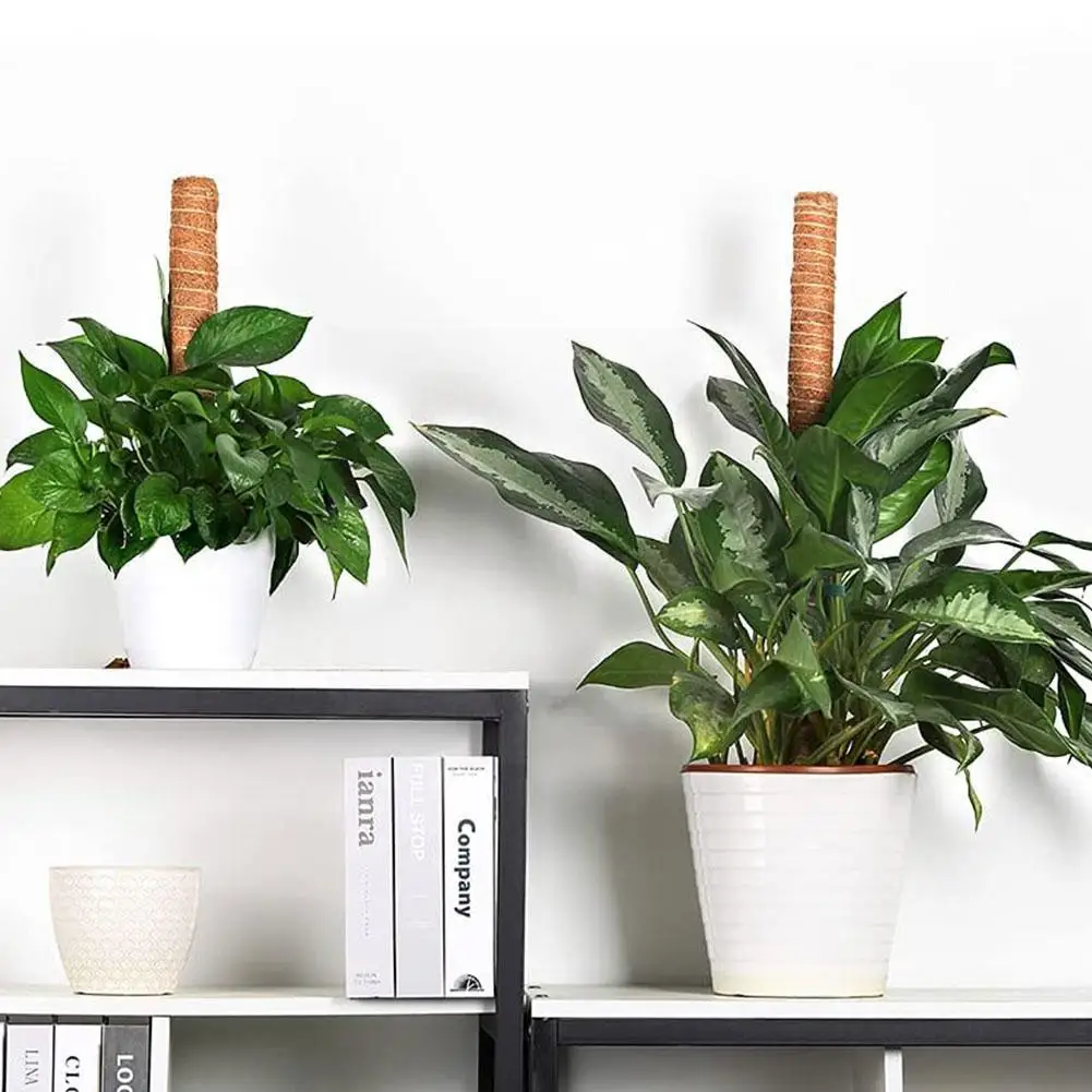 

Plant Climbing Pole Coir Moss Stick Coir Moss Palm Climbing Vines Creepers Plants Plant Stick Indoor Extension Support E5K0