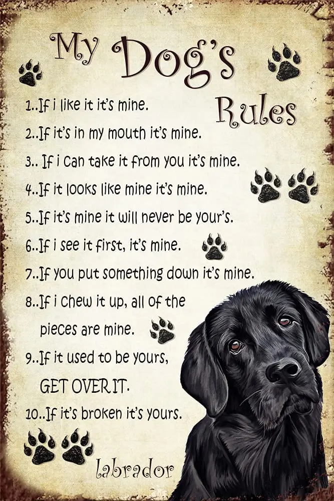 

Винтажные жестяные знаки для домашнего бара, кофе, собаки лабрадора