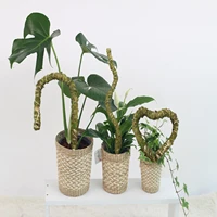 moss pole monstera bendable shaped moss sticks for climbing plants garden green plants stake perfect for peony tomato rose vine