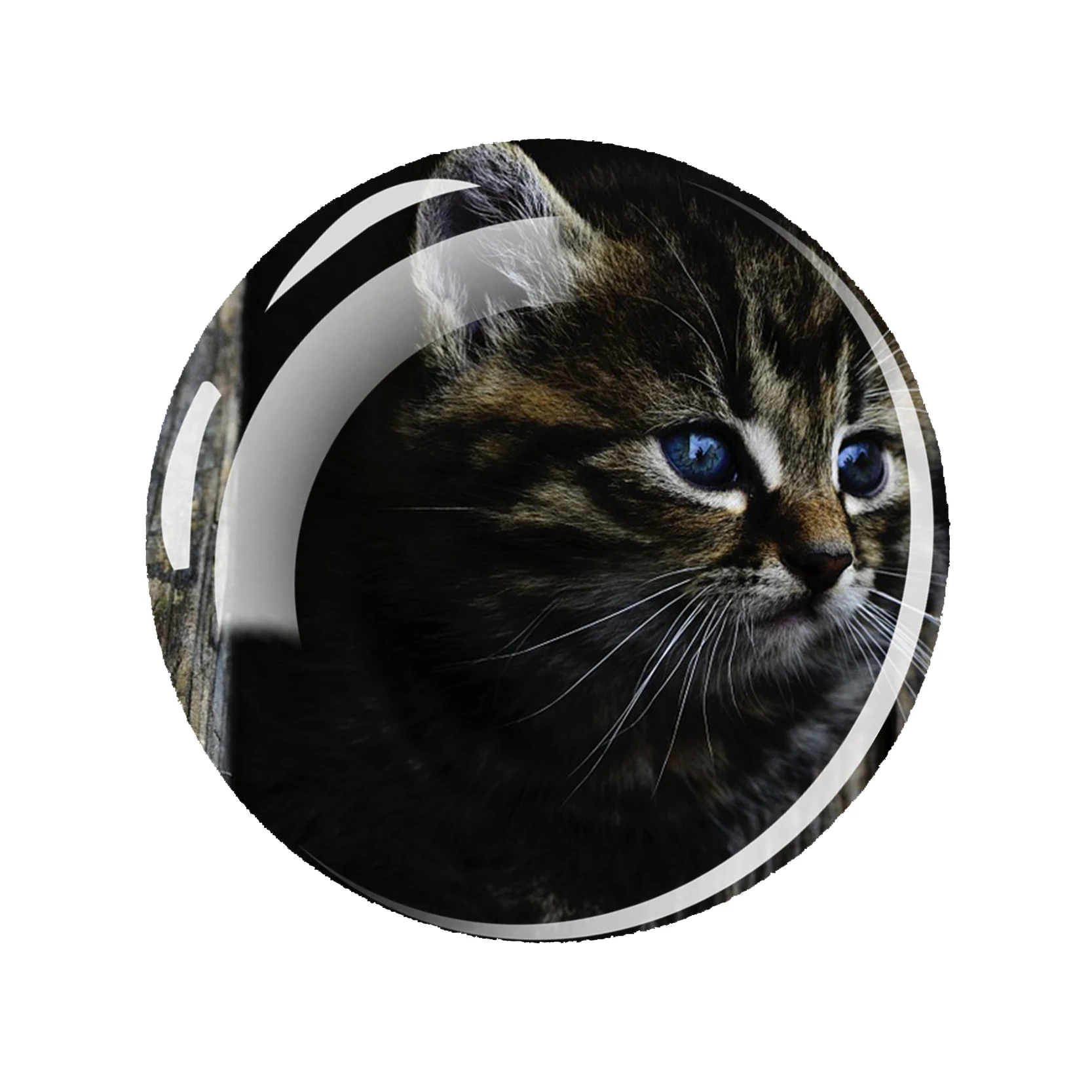 Магнит на холодильник Cute Cat EQJJYPOC