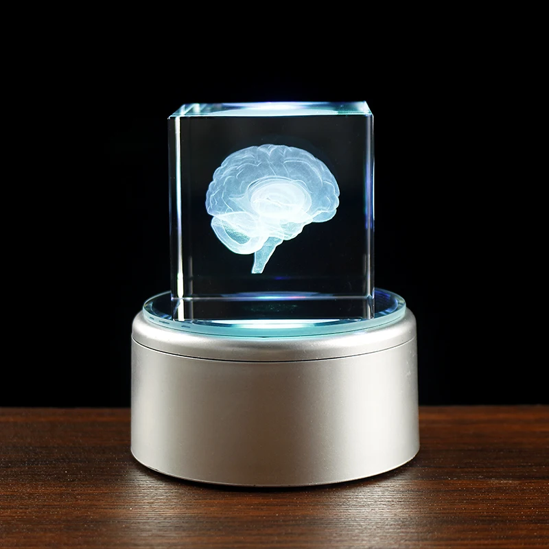 

Кристальная модель мозга 6 см