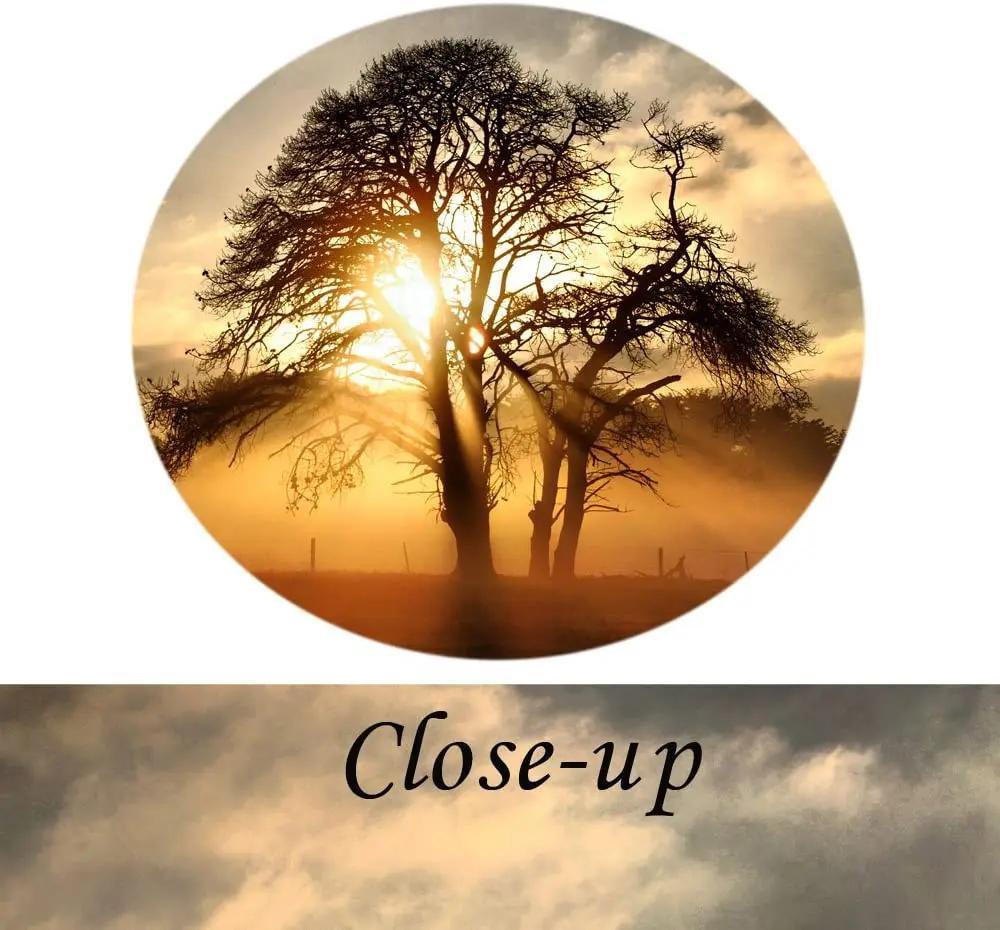 Галерея холст красивый закат панорамный Холст Искусство ночь падение дерево