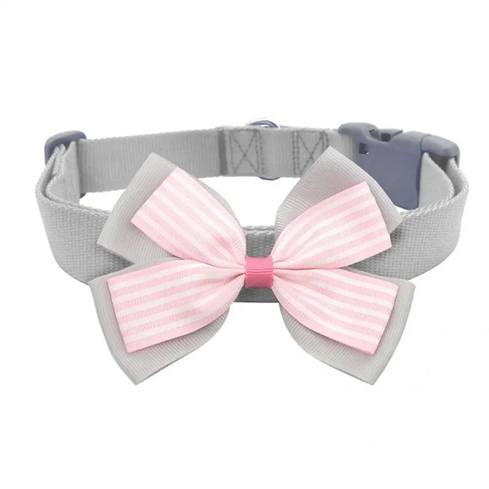 

Износостойкий ошейник для щенков