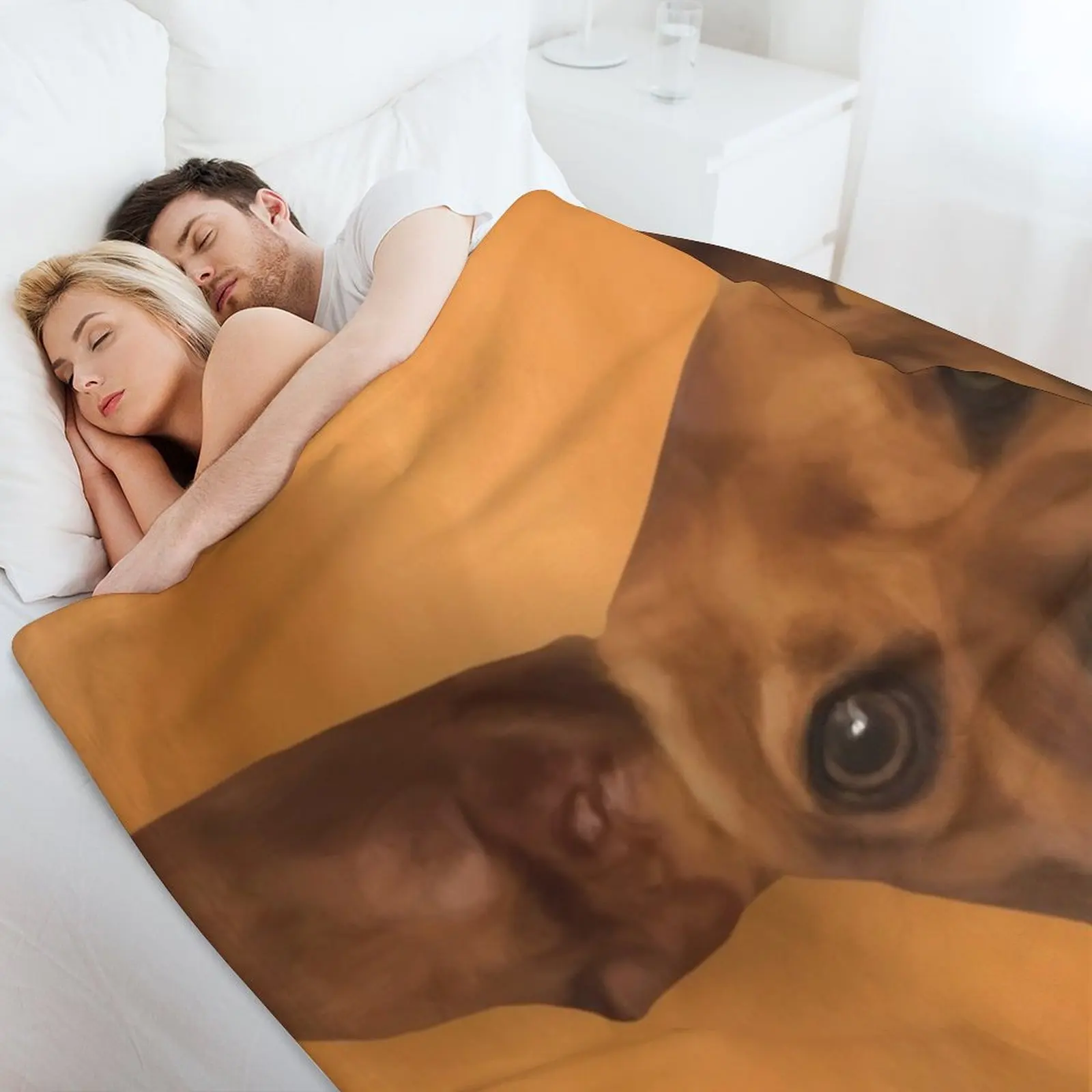 Чмпферы! Числань! Одеяло Роскошное теплое зимнее одеяло для кемпинга и дивана