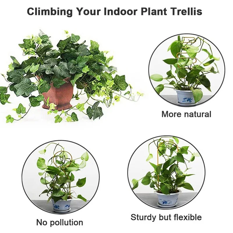 Металлическая рама для подъема растений креативный держатель решетки комнатных