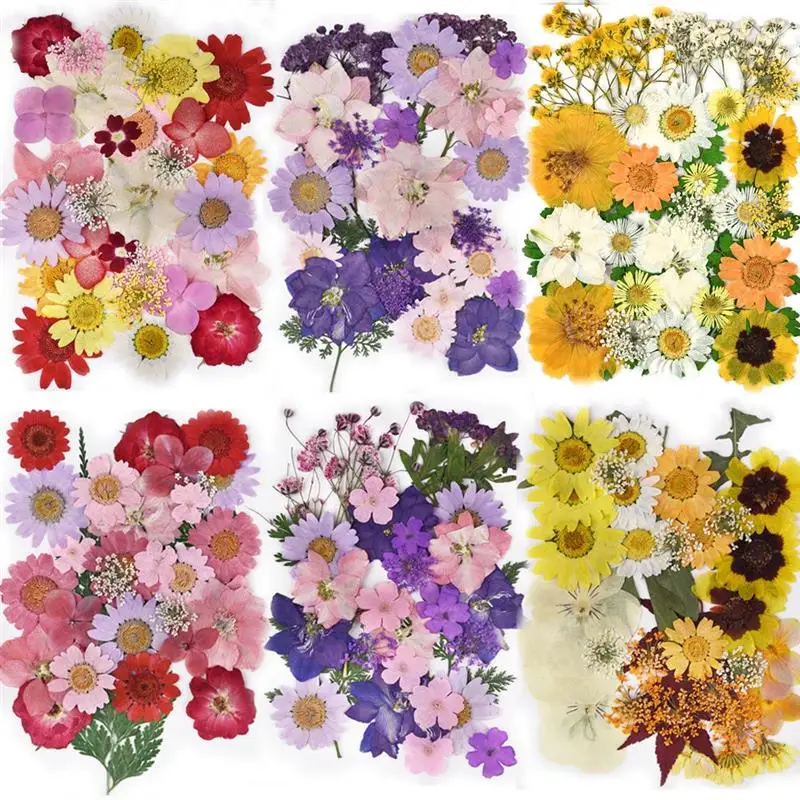 

Сушеные цветы для самостоятельного изготовления смоляных наполнителей, настоящий цветок для украшения дома, рукоделие, изготовление ювели...