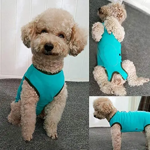 

Pet Dog’s Recovery Suit Post Surgery Shirt for Puppy, Wound Protective Clothes for Little Animals(Blue-xs)