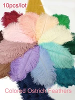 10pcslot colored ostrich feathers for wedding decoration carnival handicraft accessories table centerpieces crafts plumas decor