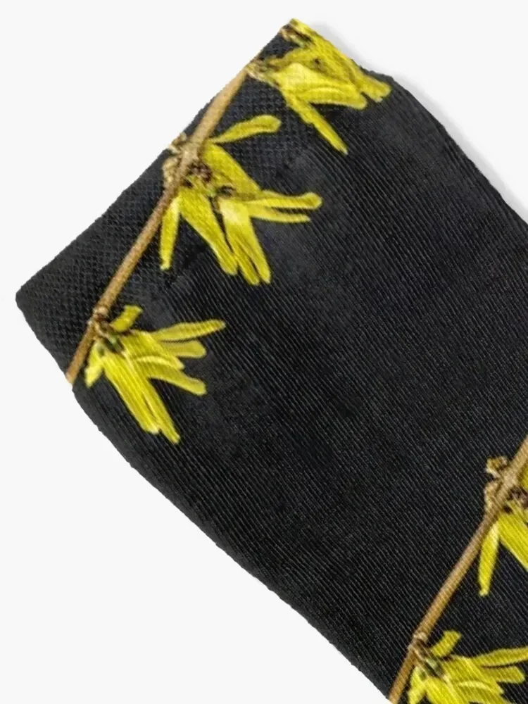 Носки Forsythia 4 модные чулки мужские и женские носки