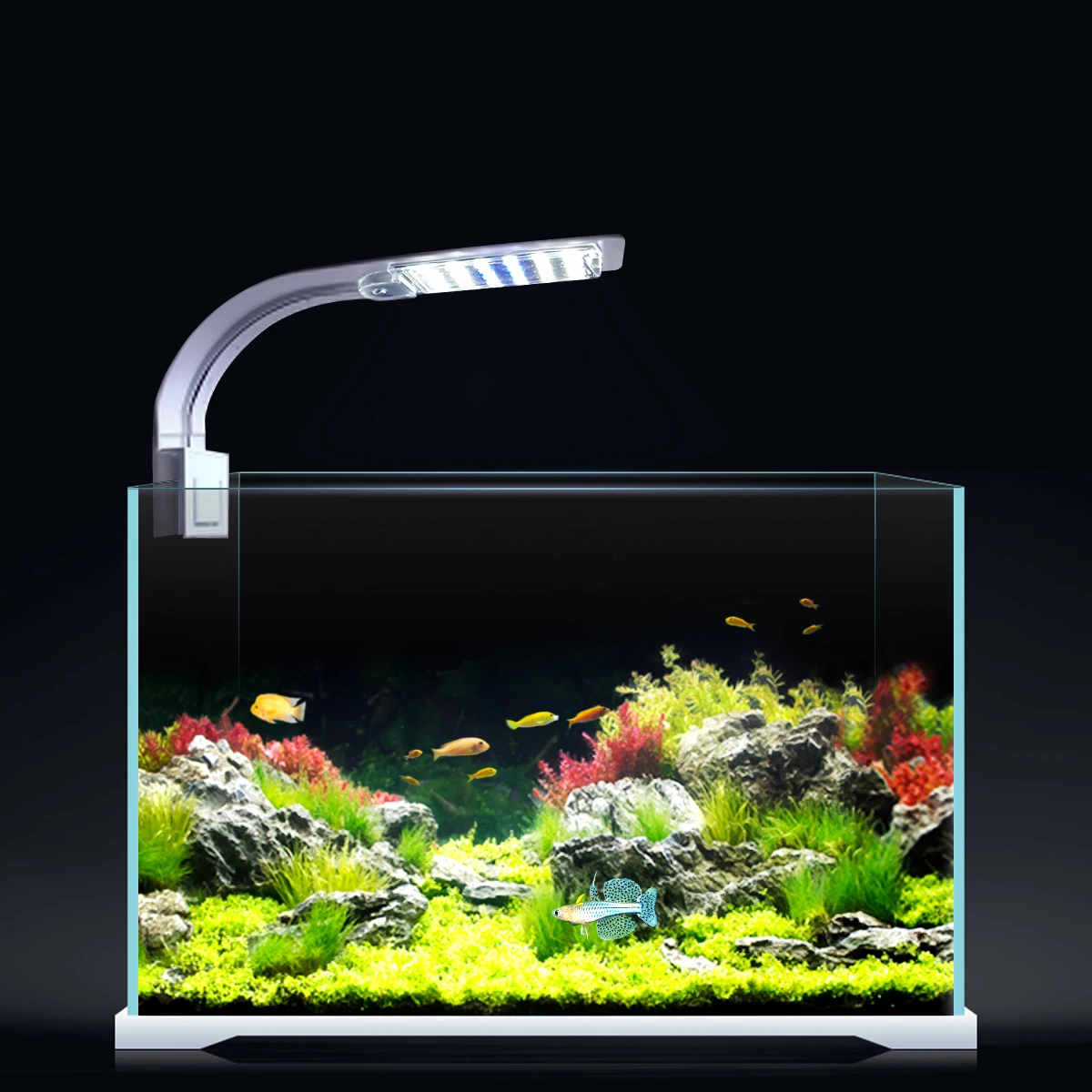 

5W/10W/15W LED Fish Tank Waterscape Lights Clip-on Aquarium Lamp Aquatic Plant Waterweed Water Grass LED Grow Light Waterproof