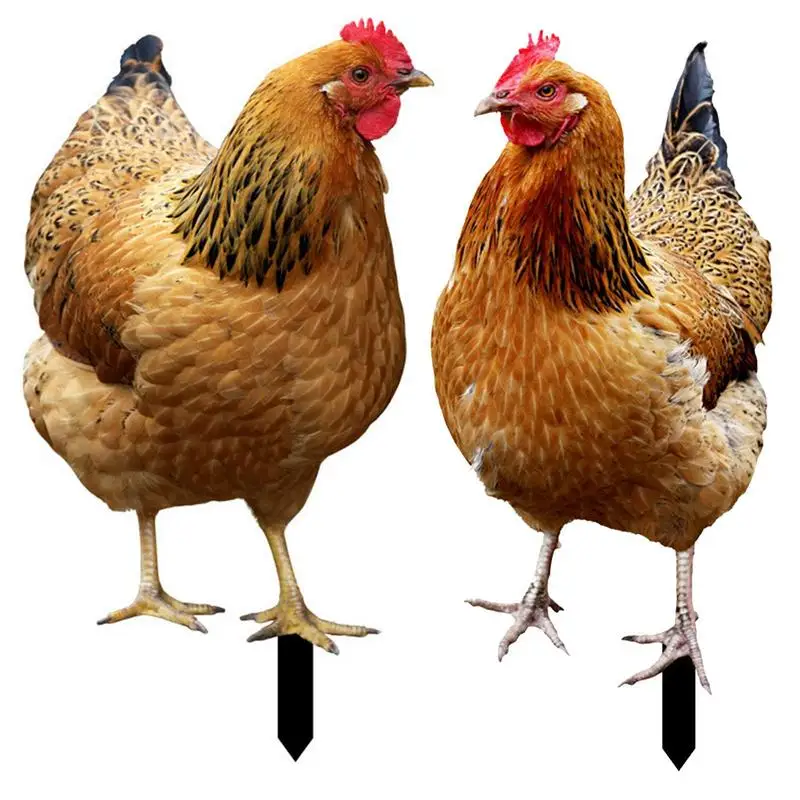 

Chicken Yard Decor 2D Acrylic Hen Chicken Statue Standing Chicken Ornament For Patio Backyard Lawn Yard And Garden Decor