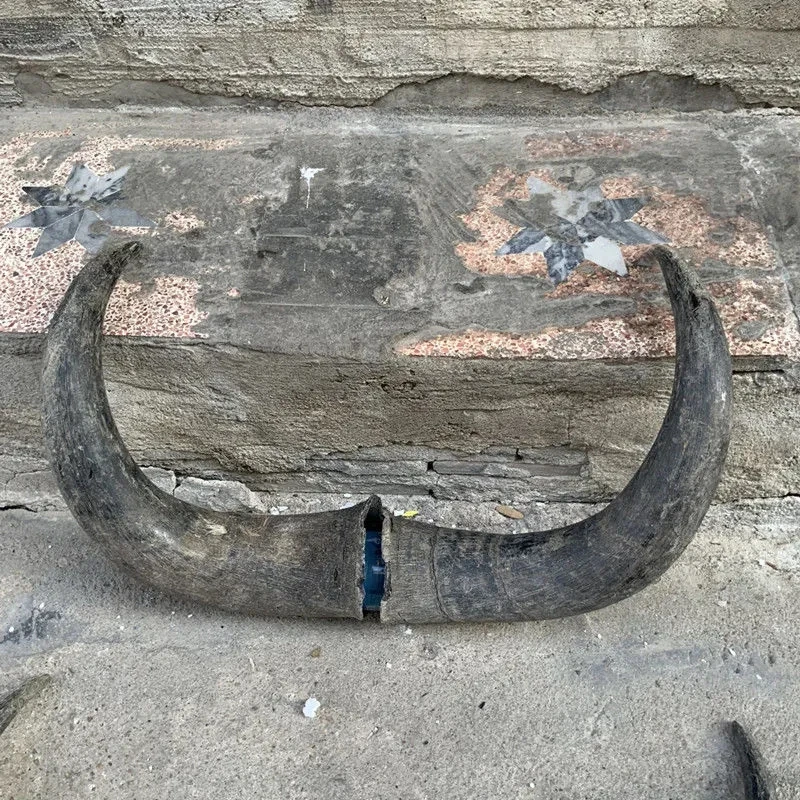 

Черный буйволиновый рог, буйволиновый рог, шерстяное диагональное украшение, украшение для дома и офиса, товары из буйволиного рога