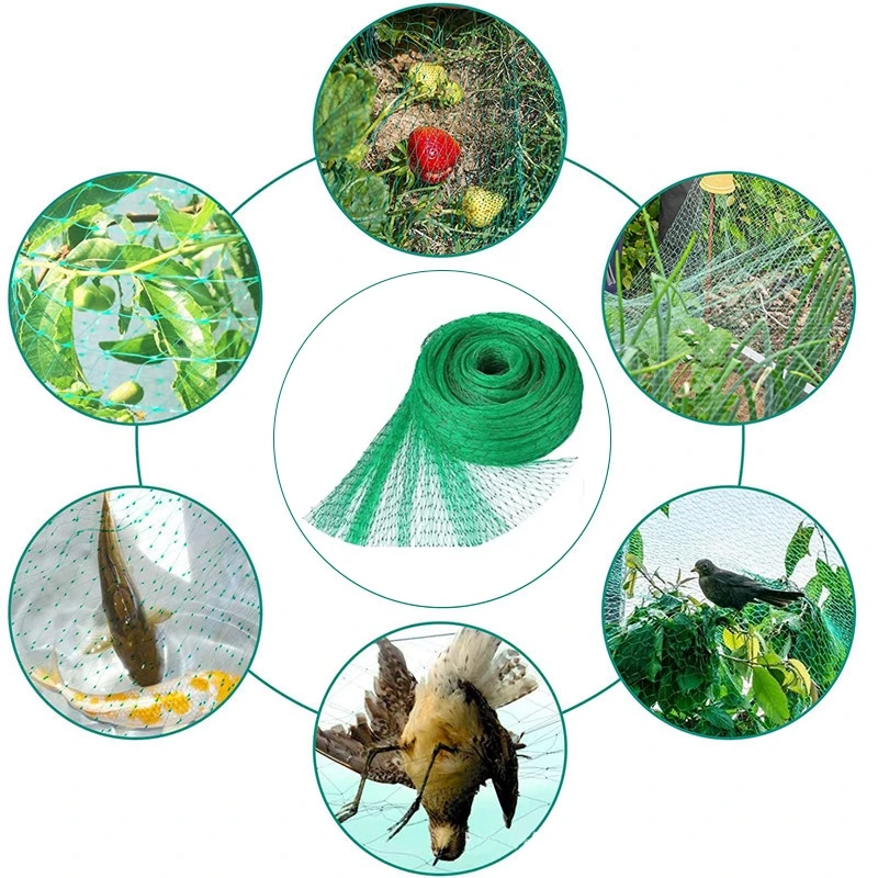 Сетка для сада Зеленая ловли птиц фруктовых деревьев |
