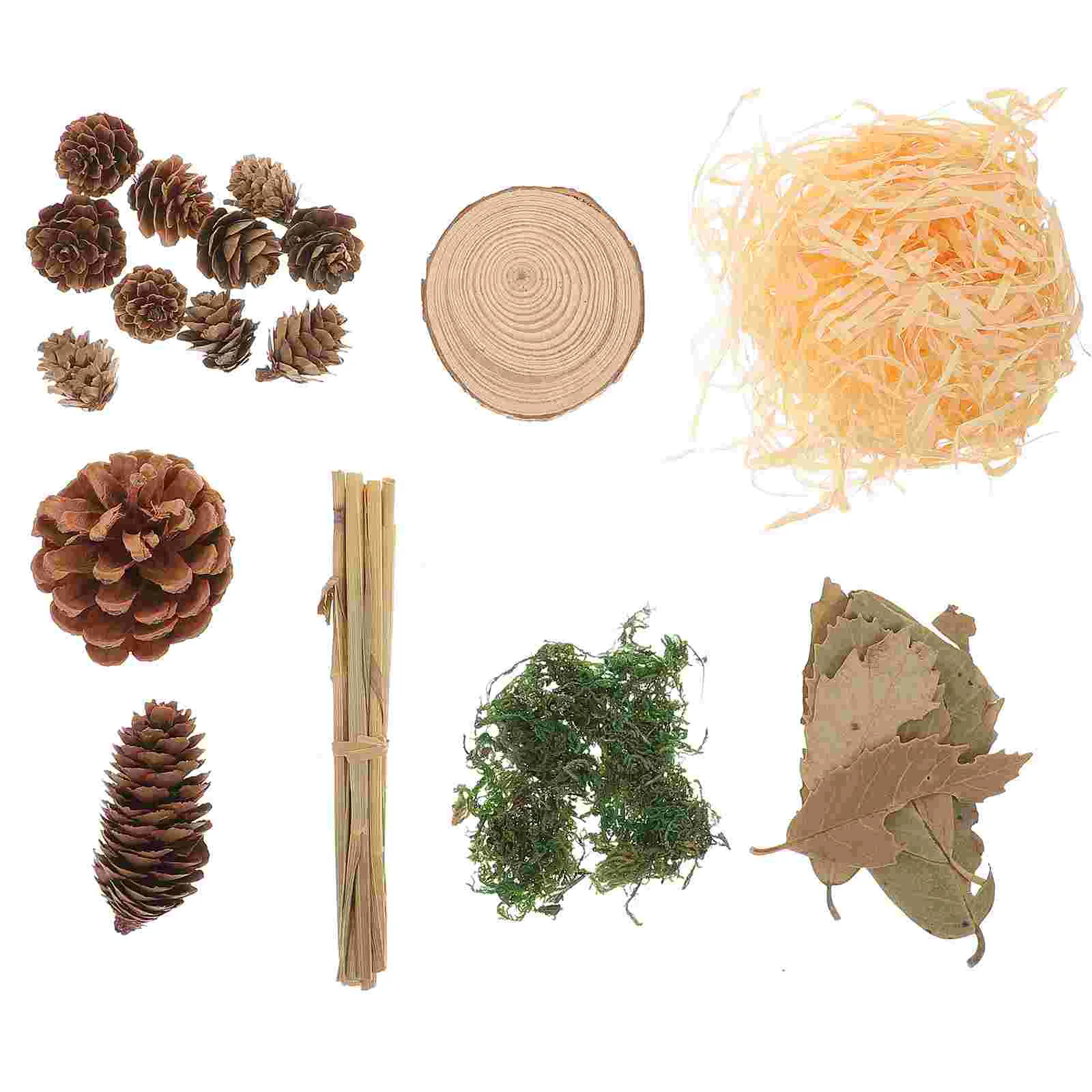 

Photo Prop Props Wooden Creative Diy Craftphotography Retro Branch Branches