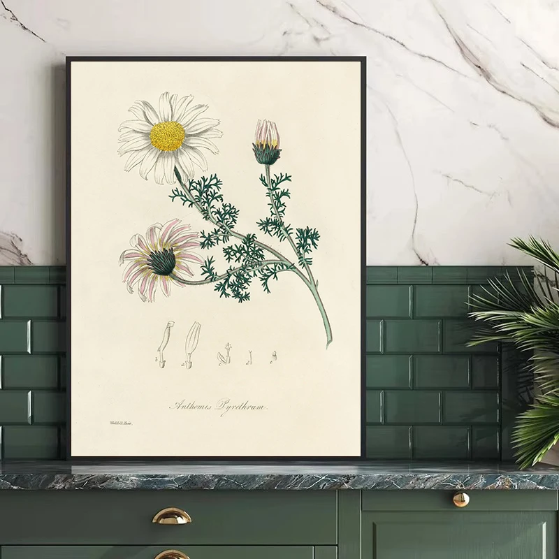 Винтажный ботанический папоротник эстетический цветок растения ретро постер