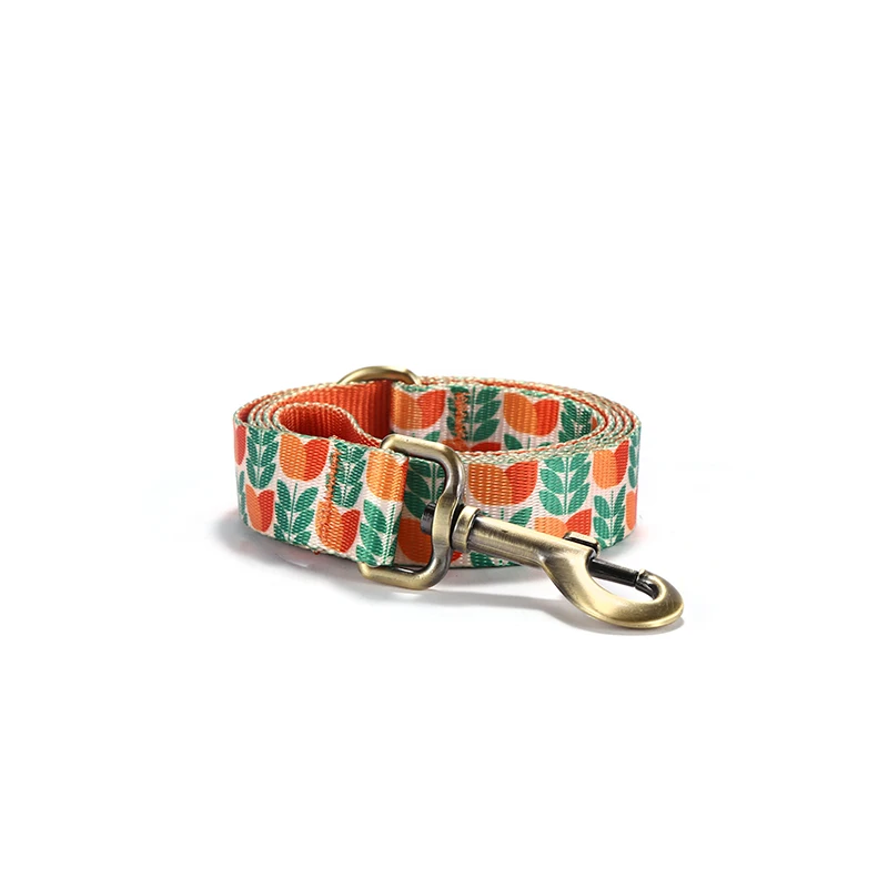 

Шлейка для собак PLATTCO, регулируемый ремень для домашних животных маленького и среднего размера, для прогулок и тренировок на открытом возду...