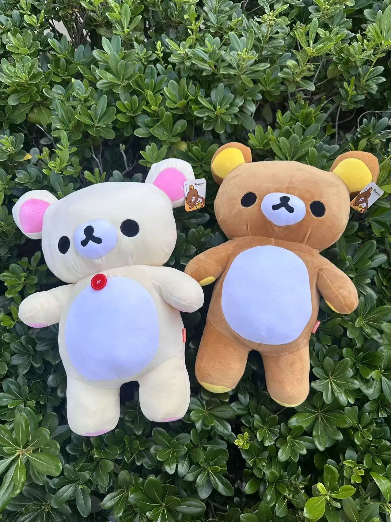 Фото 80 см Rilakkuma плюшевая игрушка плюшевый мишка чучело мультяшная подушка Kawaii декор комнаты подушка детские подарки на день рождения хобби №5