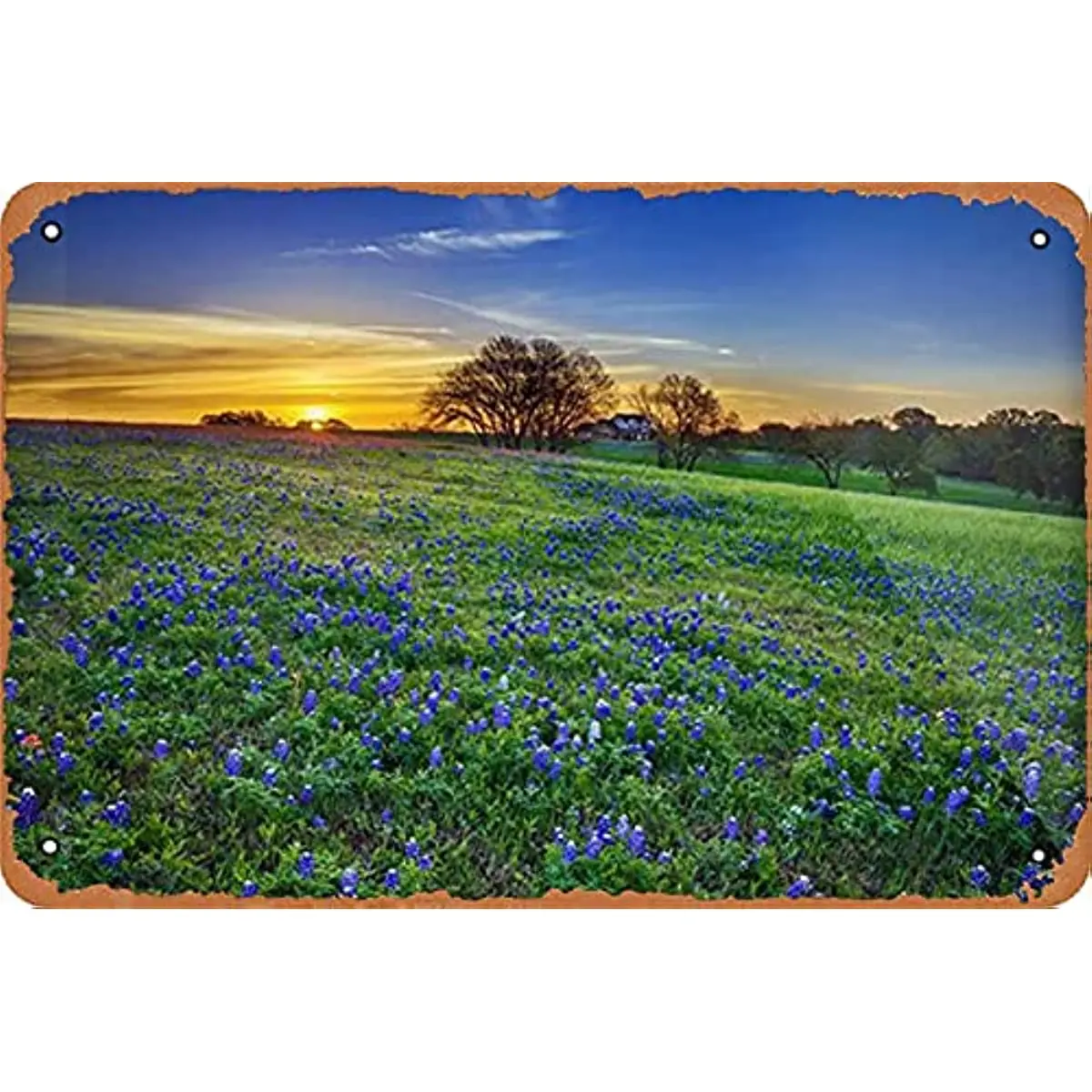 

Texas, Bluebonnet Field at Sunrise Vintage Metal Sign Retro Decor Art room decor posters vintage farmhouse decor