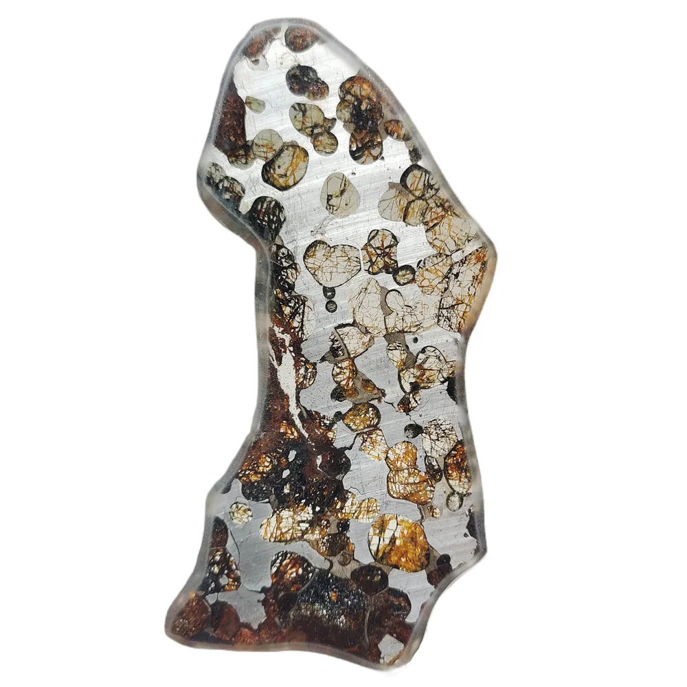 

High Quality Brenham Olivine Meteorite Specimen Olive Meteorite Section Natural Meteorite Specimen Collection