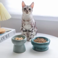 luxury pet cat small dog supplies ceramics raised flower shape cat bowl food feeder for small dog pet accessories