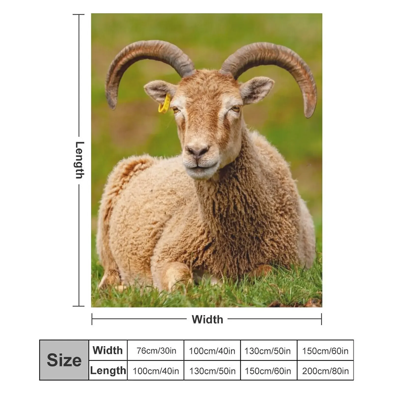 Одеяло Soay Sheep большое для дивана милые летние одеяла