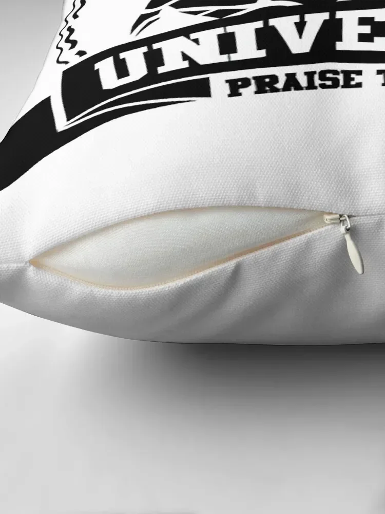 Anor Londo University пледы подушка наволочка роскошные диванные подушки эластичный чехол