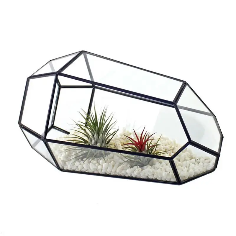 Glass Terrarium Succulent Terrarium Geometry Centerpiece Display Box Gift Flower Containers Indoor Terrariums House For